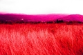 Dan zariven u &hellip;