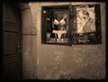 window EPP