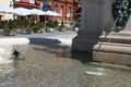 Razmišlja da p&hellip;