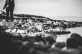 Crno-Bijeli sv&hellip;