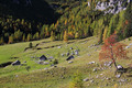 Planina Konjšč&hellip;