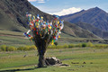 Tibetanski buk&hellip;