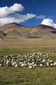 Tibetanska pro&hellip;