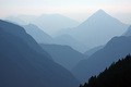 Planinsko plav&hellip;