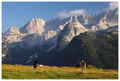 Alpsko predveč&hellip;