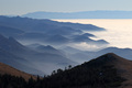 Primorsko plav&hellip;