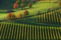 Jesen u vinogr&hellip;