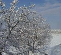snježno jutro*&hellip;