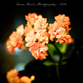 A beauty conte&hellip;