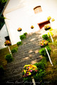 THE path