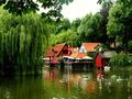 Colorful Morni&hellip;