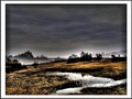 fog