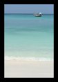 The Beach