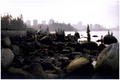 seawall, vanco&hellip;