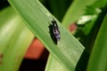 bug and his sh&hellip;