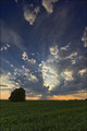 Just a beautif&hellip;