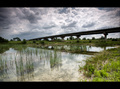 Bridge skyline