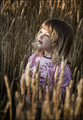 Among fields o&hellip;