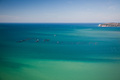 pastel du mar