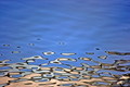 Sava River, Be&hellip;