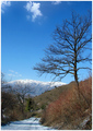 to the Vlašić.&hellip;