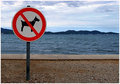 No Dog On My B&hellip;