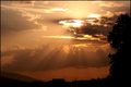 tarabovac suns&hellip;