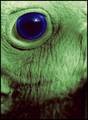 we are watchin&hellip;