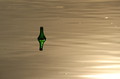 Bottle without&hellip;