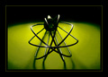 Atomska pjenja&hellip;