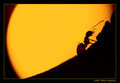 Dusk in the Em&hellip;