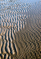 Sand in the be&hellip;