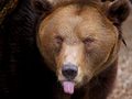 bleeeee5