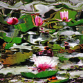 Arboretumski A&hellip;