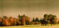 Arboretumska e&hellip;