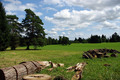 Arboretum Opeka