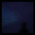 Shadow on the &hellip;