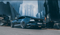 Mustang City S&hellip;