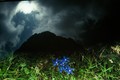 Planina i neki&hellip;