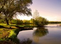 the_river_symp&hellip;