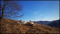 sunday, sunny &hellip;
