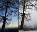 what a differe&hellip;