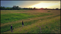 splendour in t&hellip;