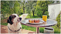 breakfast at r&hellip;
