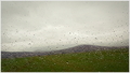 raindrops keep&hellip;