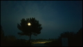 the eye in the&hellip;