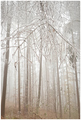 winter wonderl&hellip;