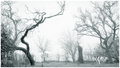 256 shades of &hellip;