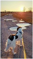 sunce mi na sp&hellip;