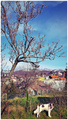 kasna zima u r&hellip;